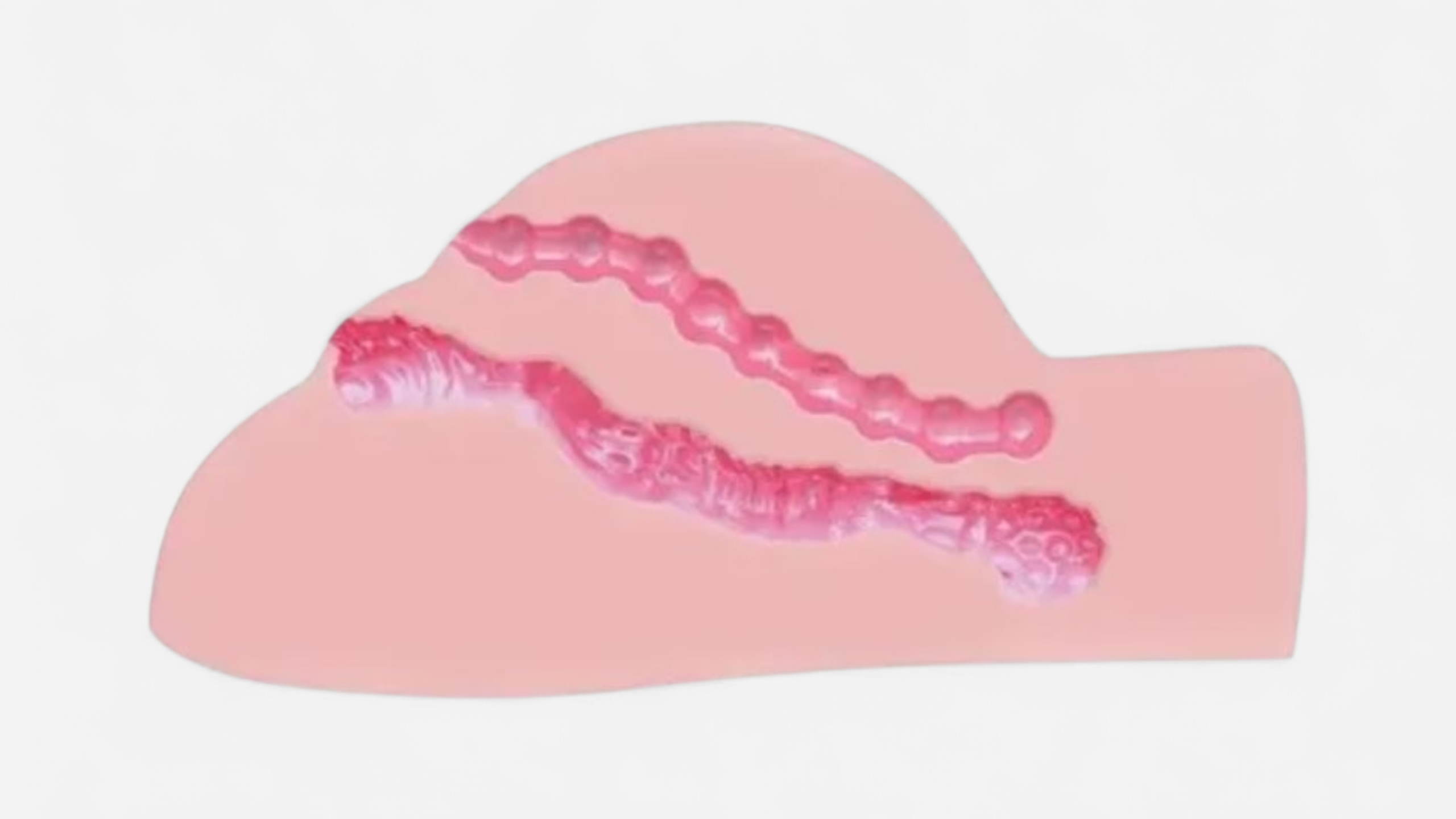 HU: Ashley Rose maszturbĂĄtor textĂșrĂĄzott belsĆ jĂĄratainak metszeti ĂĄbrĂĄja EN: Cross-section diagram of Ashley Rose masturbator showing textured internal canals